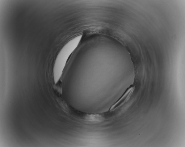 X0000088860137200707061058