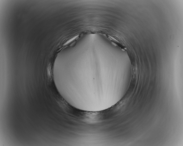 X0000088860143200707061058