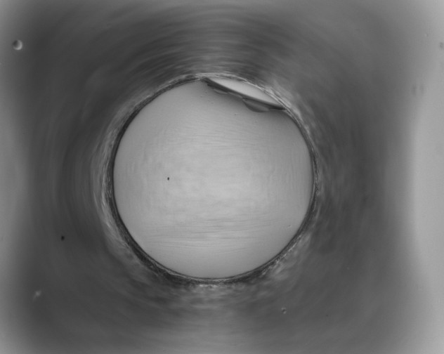 X0000088860145200707061057