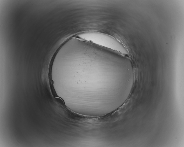 X0000088860147200707061057