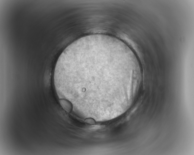 X0000088860153200707061057