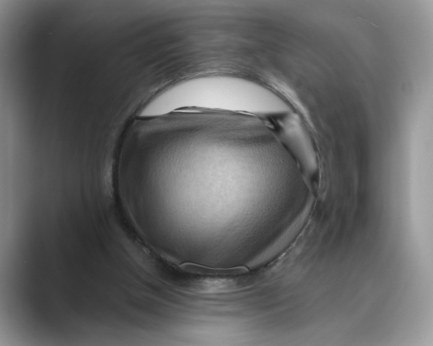 X0000088860154200707061057