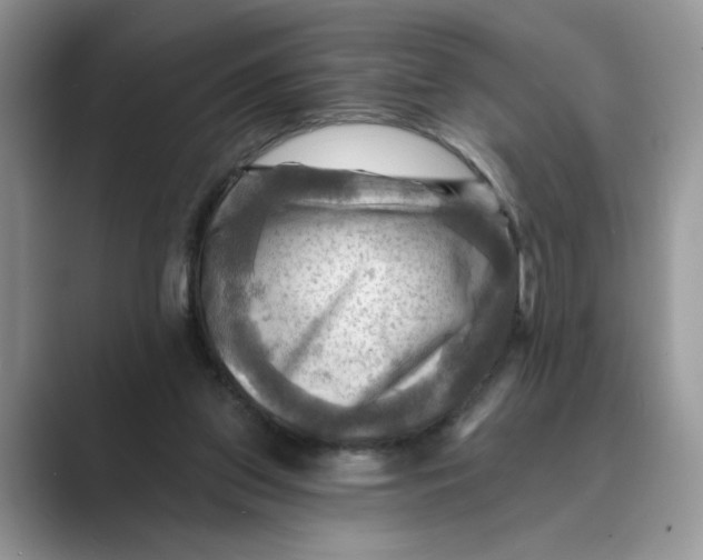 X0000088860157200707061057