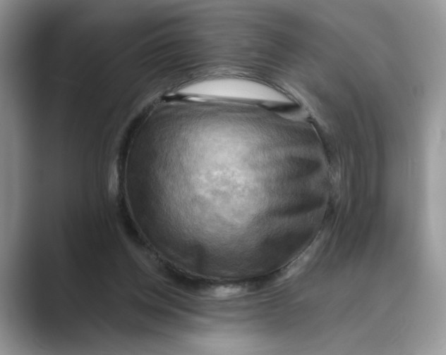 X0000088860158200707061057