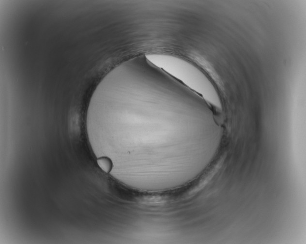 X0000088860161200707061057