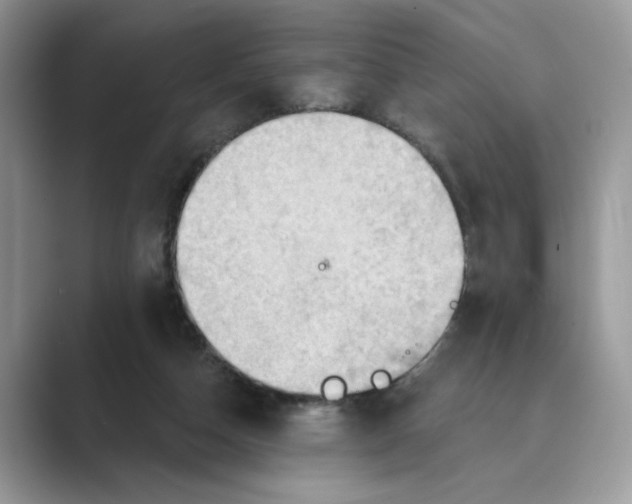 X0000088860162200707061057