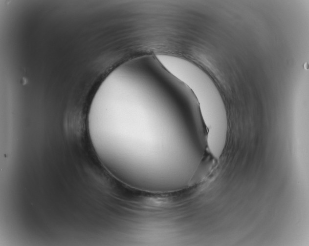 X0000088860164200707061057