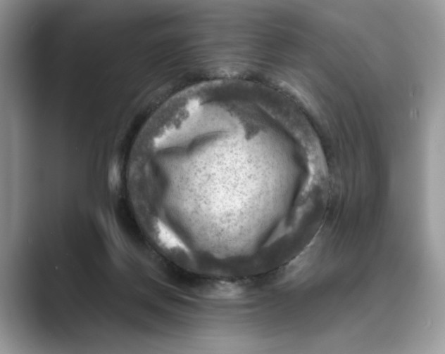 X0000088860166200707061057