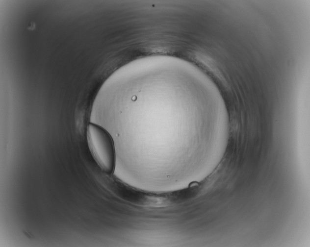 X0000088860167200707061057