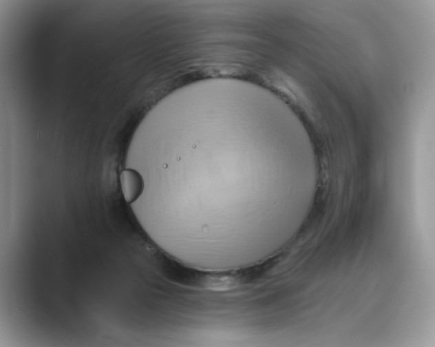 X0000088860169200707061057