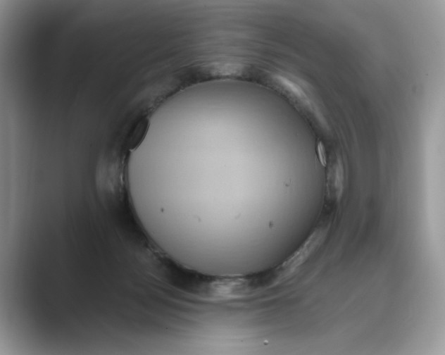 X0000088860172200707061057