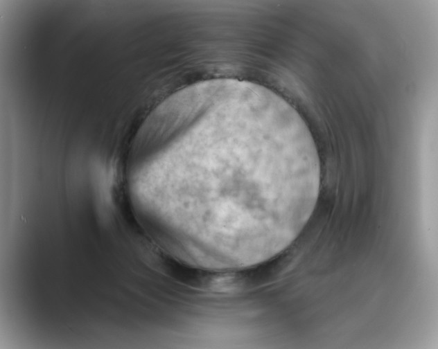 X0000088860173200707061057