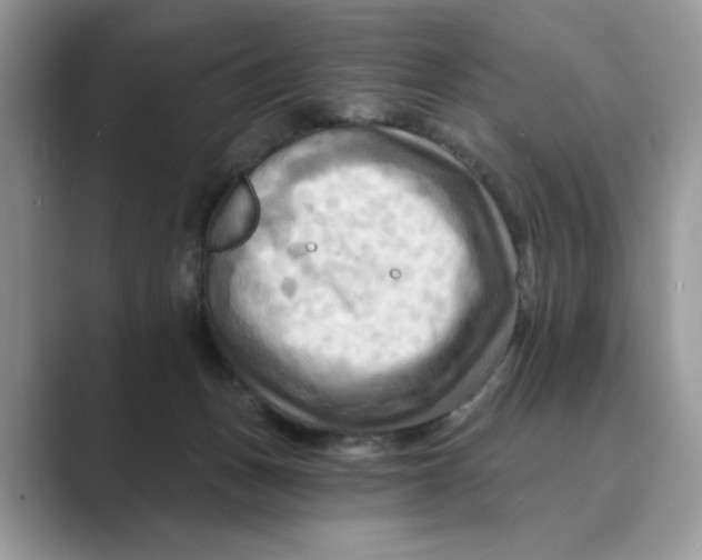 X0000088860175200707061057