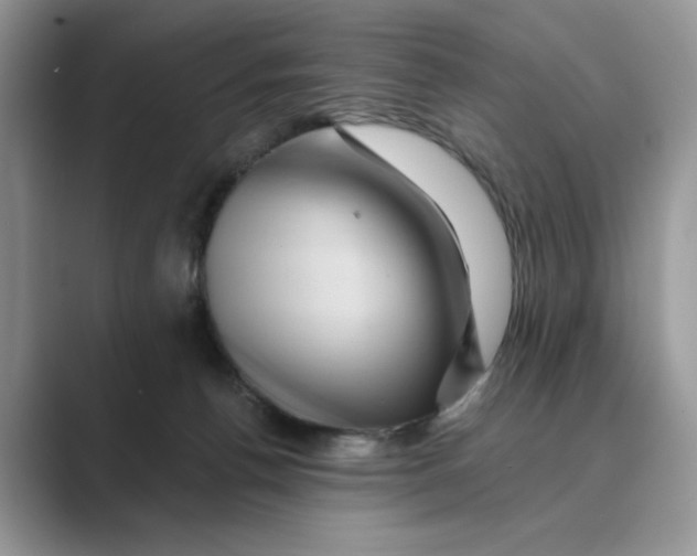 X0000088860176200707061057