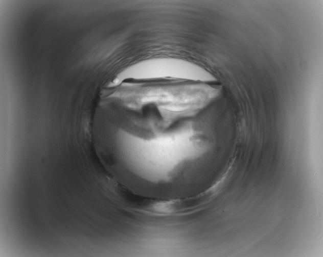 X0000088860178200707061057