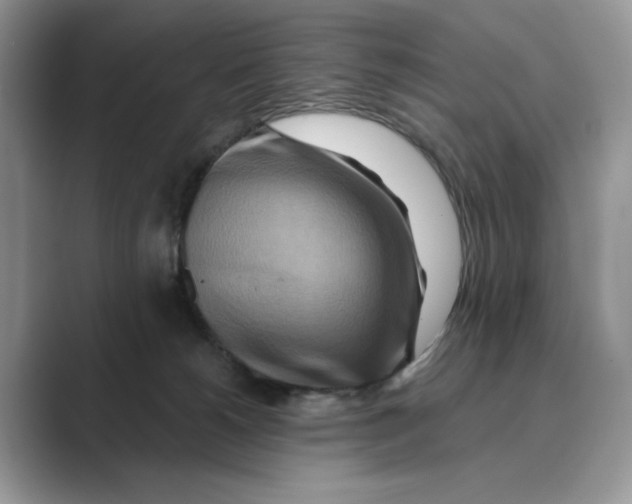 X0000088860180200707061057