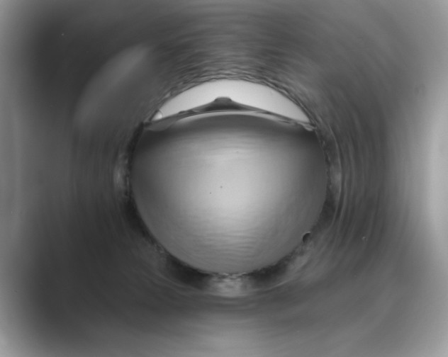 X0000088860181200707061057