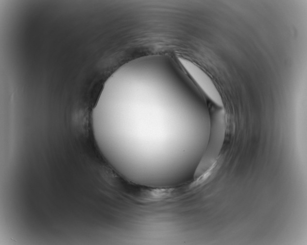 X0000088860184200707061057