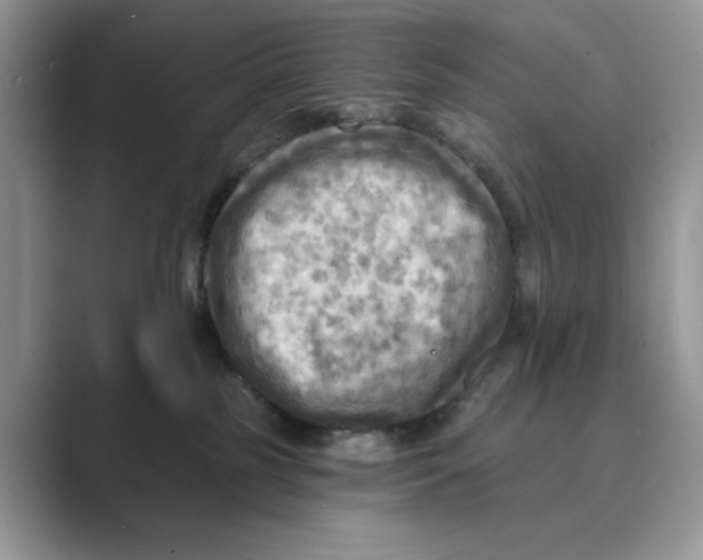 X0000088860185200707061057