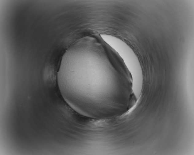 X0000088860186200707061057