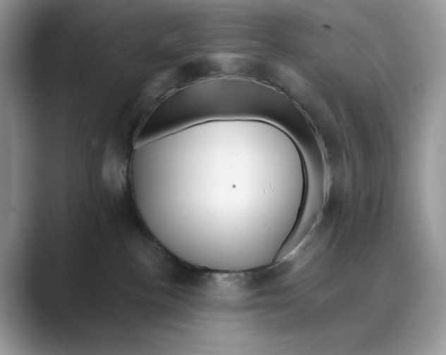 X0000088860188200707061057