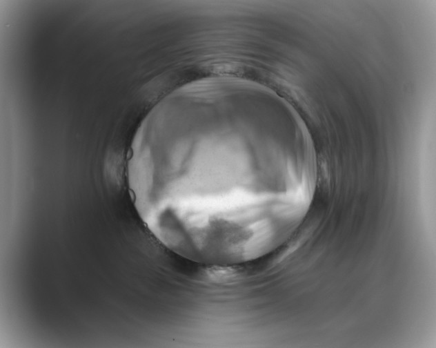 X0000088860189200707061057