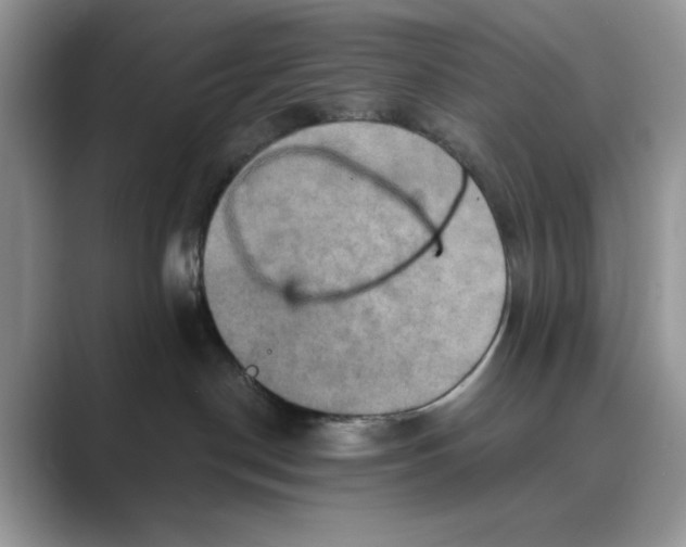 X0000088860190200707061057