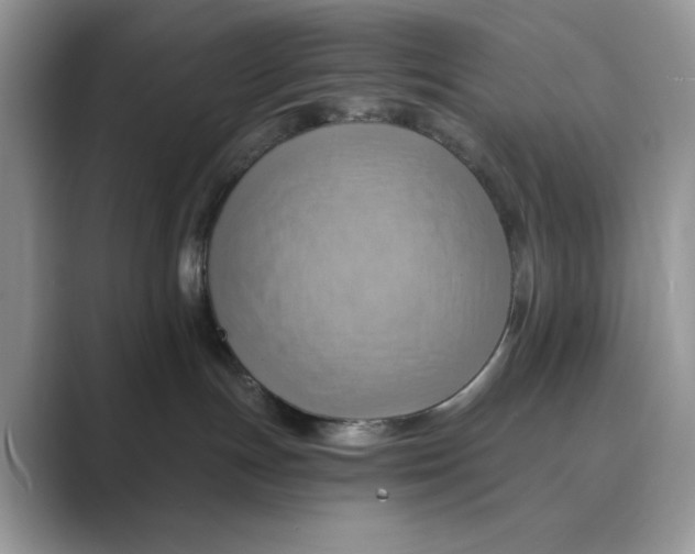 X0000088860191200707061057