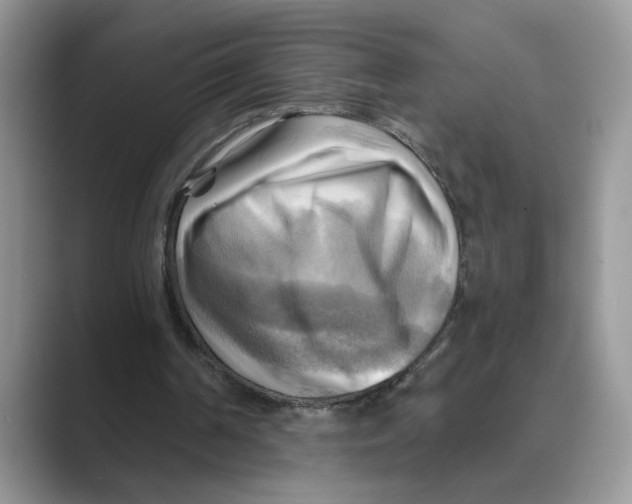 X0000088860194200707061057