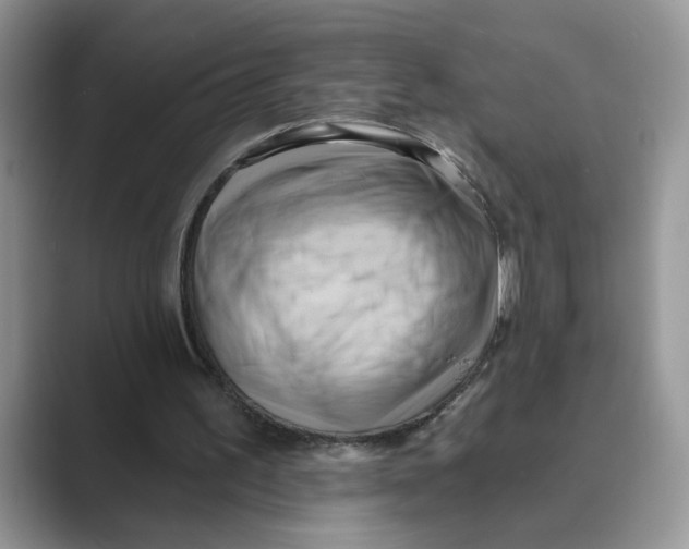 X0000088860195200707061057