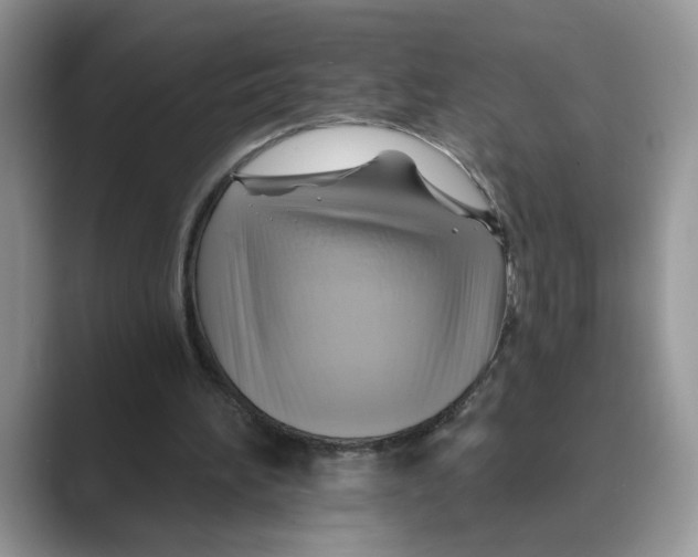 X0000088860196200707061057