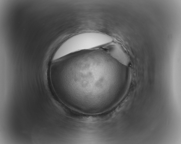 X0000088860197200707061057