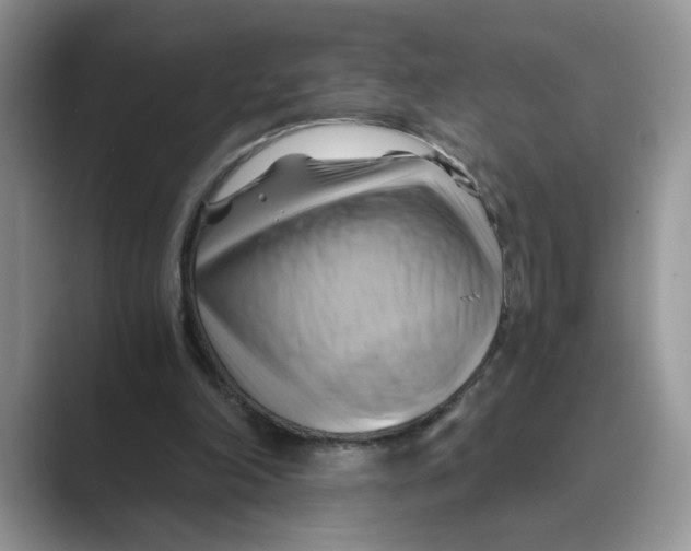 X0000088860198200707061057