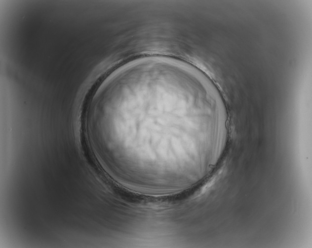 X0000088860199200707061057