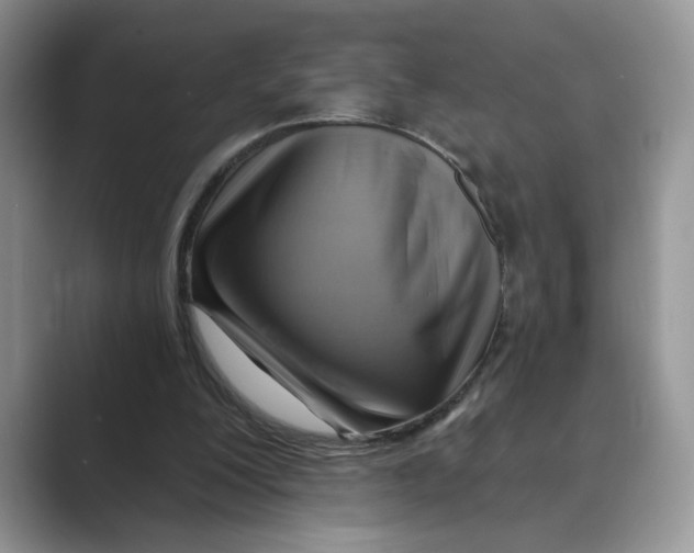 X0000088860200200707061057