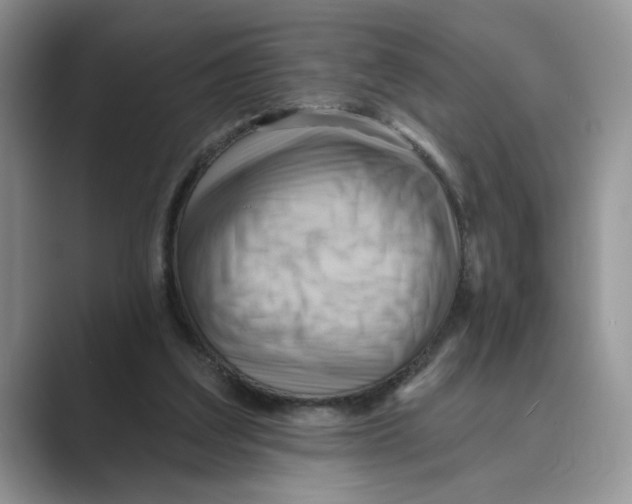 X0000088860203200707061057