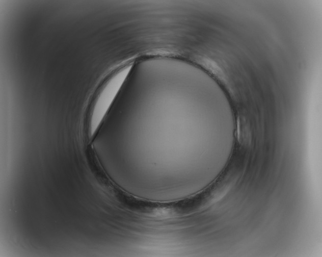 X0000088860204200707061057