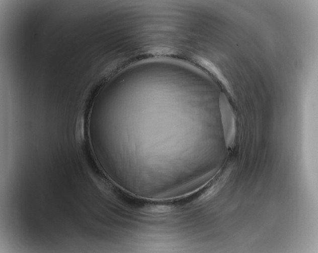 X0000088860205200707061057