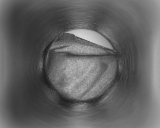 X0000088860206200707061057