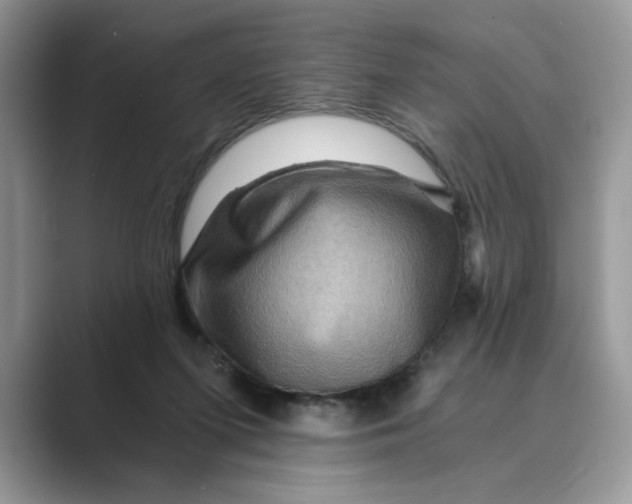 X0000088860215200707061057