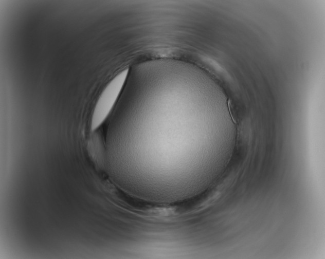 X0000088860217200707061057