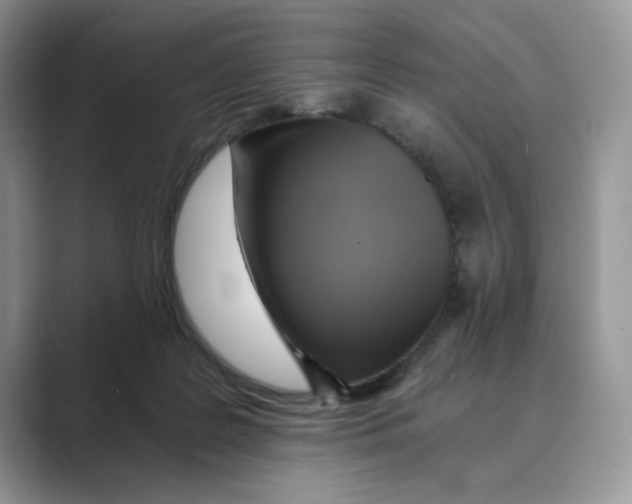 X0000088860219200707061057