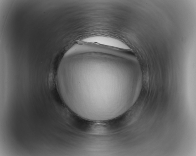 X0000088860222200707061057