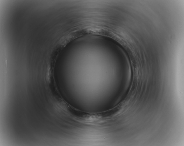 X0000088860223200707061057