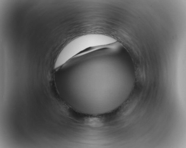 X0000088860224200707061057