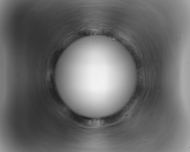 X0000088860225200707061057