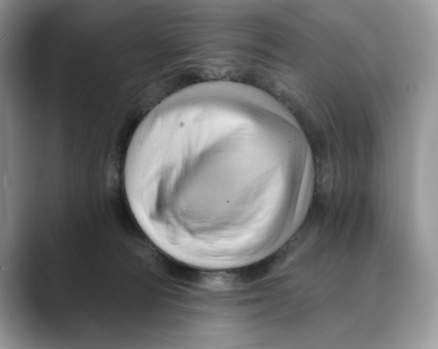 X0000088860226200707061057