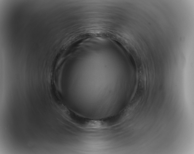 X0000088860227200707061057