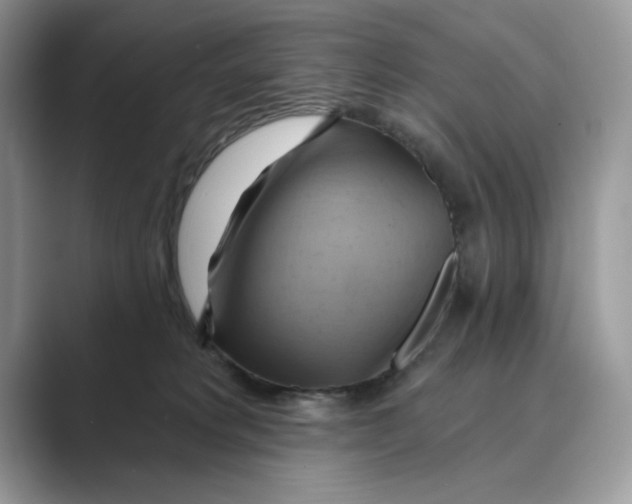 X0000088860229200707061057