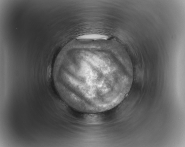 X0000088860230200707061057